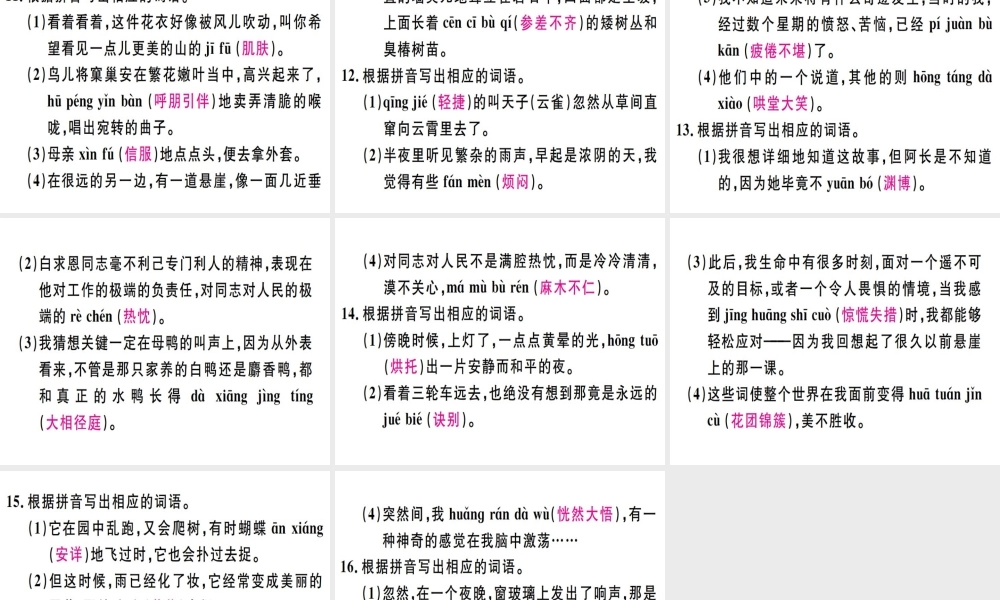 （广东专版）七年级语文上册 专题二 根据拼音写词语习题讲评课件 新人教版-新人教版初中七年级上册语文课件