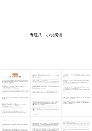 （山东专用）中考语文总复习 第二部分 现代文阅读 专题八 小说阅读（试题部分）课件-人教版初中九年级全册语文课件