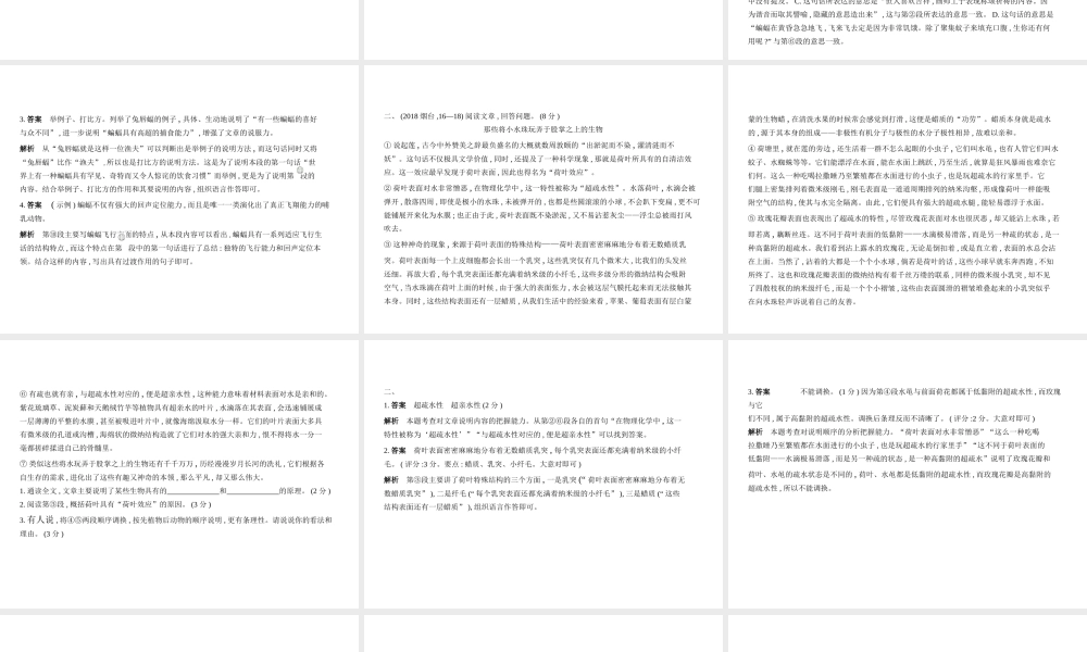 （山东专用）中考语文总复习 第二部分 现代文阅读 专题九 说明文阅读（试题部分）课件-人教版初中九年级全册语文课件
