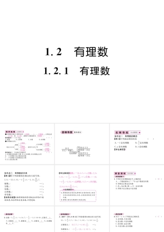 （山西专用）秋七年级数学上册 第1章 有理数 1.2 有理数 1.2.1 有理数习题课件 （新版）新人教版-（新版）新人教版初中七年级上册数学课件