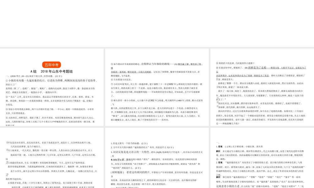 （山东专用）中考语文总复习 第二部分 现代文阅读 专题七 散文阅读（试题部分）课件-人教版初中九年级全册语文课件