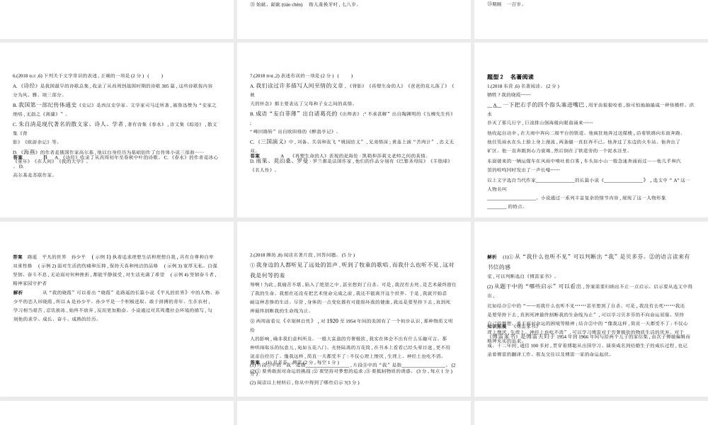 （山东专用）中考语文总复习 第一部分 基础知识积累与运用 专题五 文学常识、文化常识与名著阅读（试题部分）课件-人教版初中九年级全册语文课件