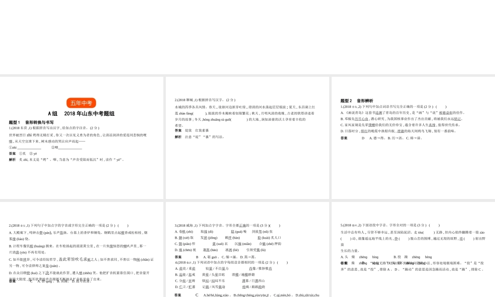 （山东专用）中考语文总复习 第一部分 基础知识积累与运用 专题一 识字与写字（试题部分）课件-人教版初中九年级全册语文课件