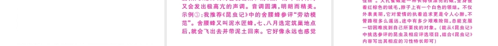 （山西专版）秋八年级语文上册 专题五 名著阅读习题课件 新人教版-新人教版初中八年级上册语文课件