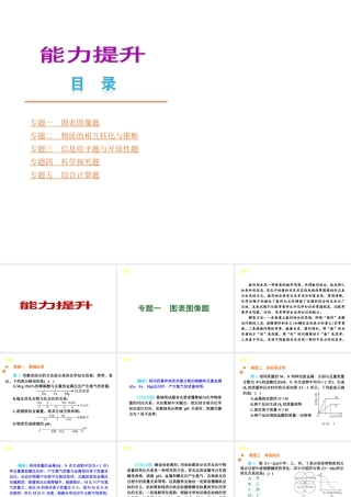 （广东专版）中考化学教材化总复习 能力提升课件 粤教版