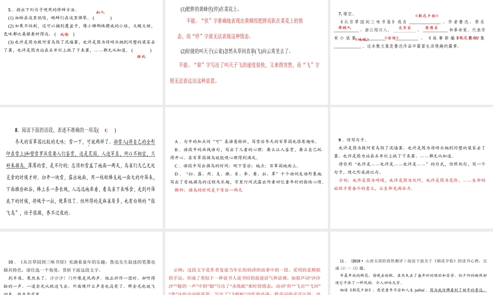 （山西专版）秋七年级语文上册 第三单元 9 从百草园到三味书屋习题课件 新人教版-新人教版初中七年级上册语文课件