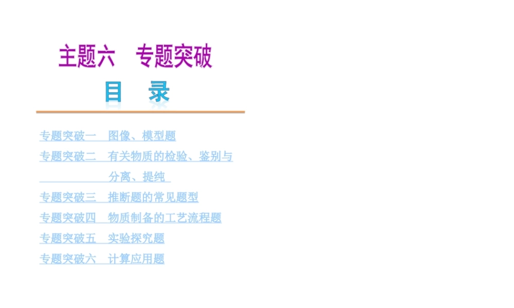 （广东专版）中考化学教材化总复习 主题六 专题突破课件