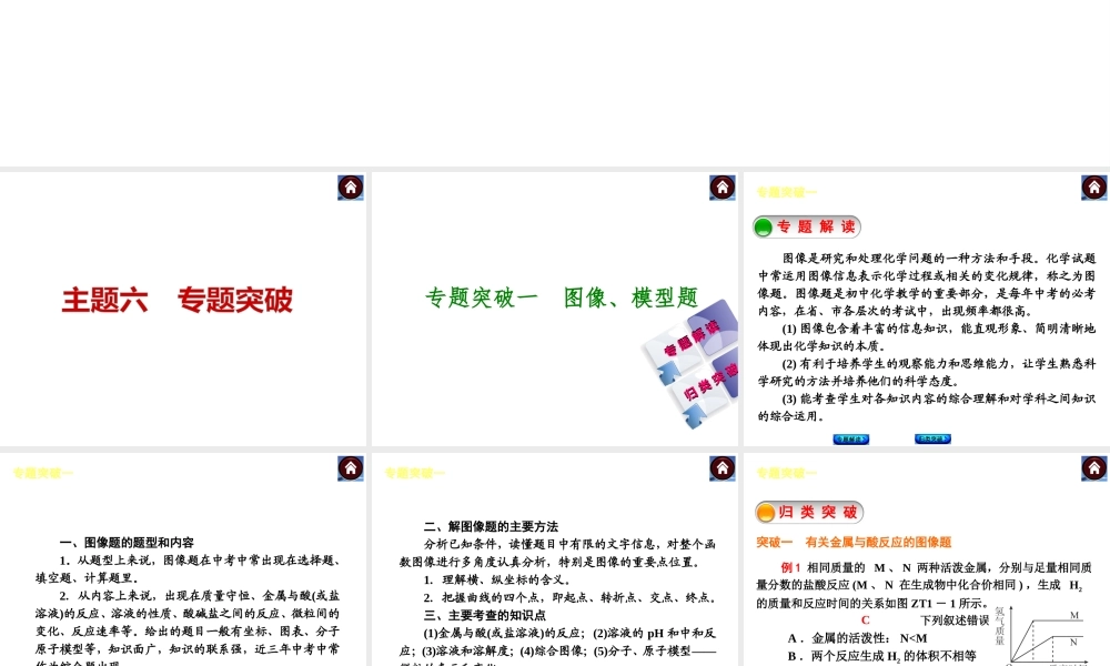 （广东专版）中考化学教材化总复习 主题六 专题突破课件