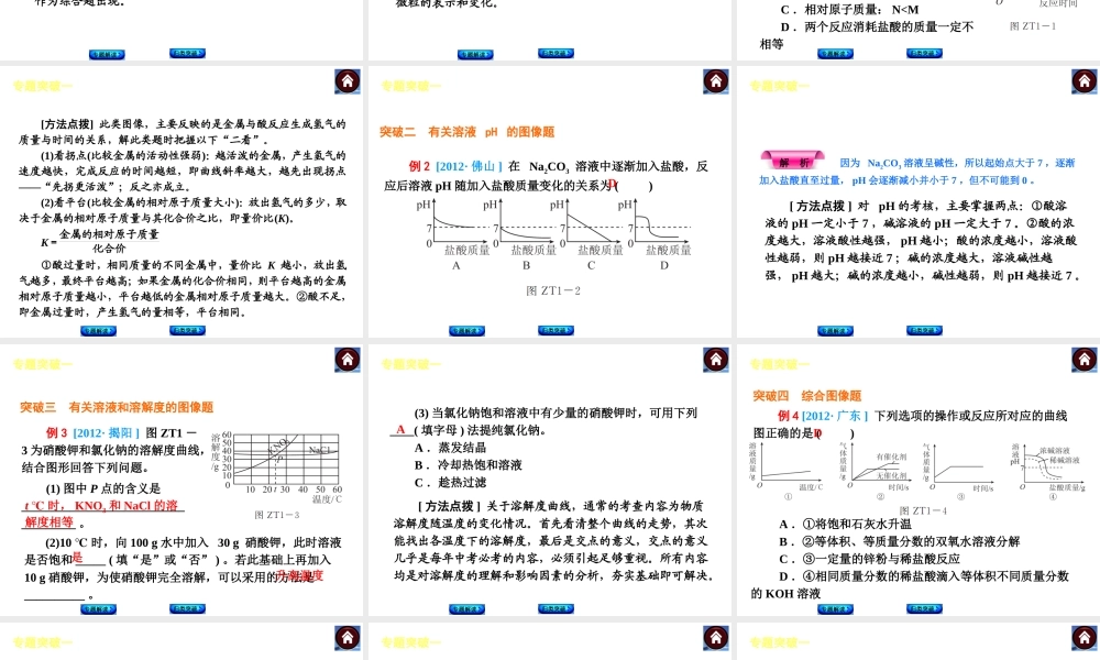 （广东专版）中考化学教材化总复习 主题六 专题突破课件