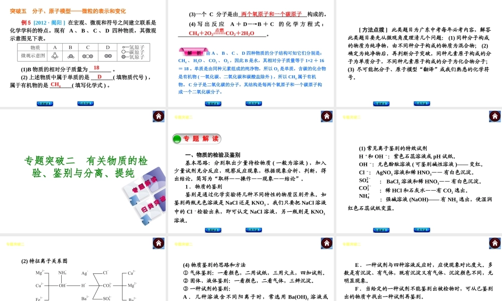 （广东专版）中考化学教材化总复习 主题六 专题突破课件