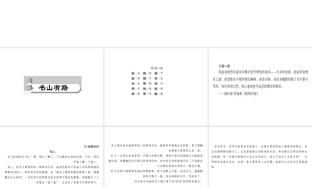 （山西专版）秋七年级语文上册 第五单元 17 动物笑谈习题课件 新人教版-新人教版初中七年级上册语文课件