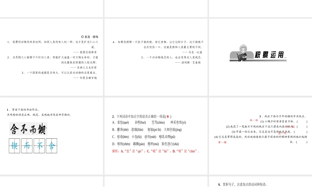 （山西专版）秋七年级语文上册 第五单元 17 动物笑谈习题课件 新人教版-新人教版初中七年级上册语文课件