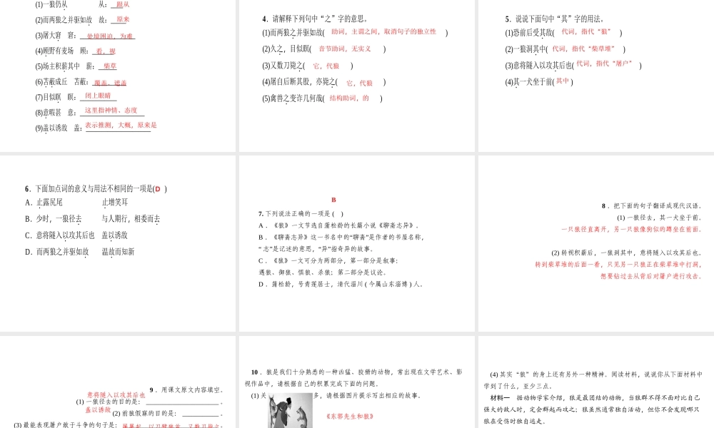 （山西专版）秋七年级语文上册 第五单元 18 狼习题课件 新人教版-新人教版初中七年级上册语文课件