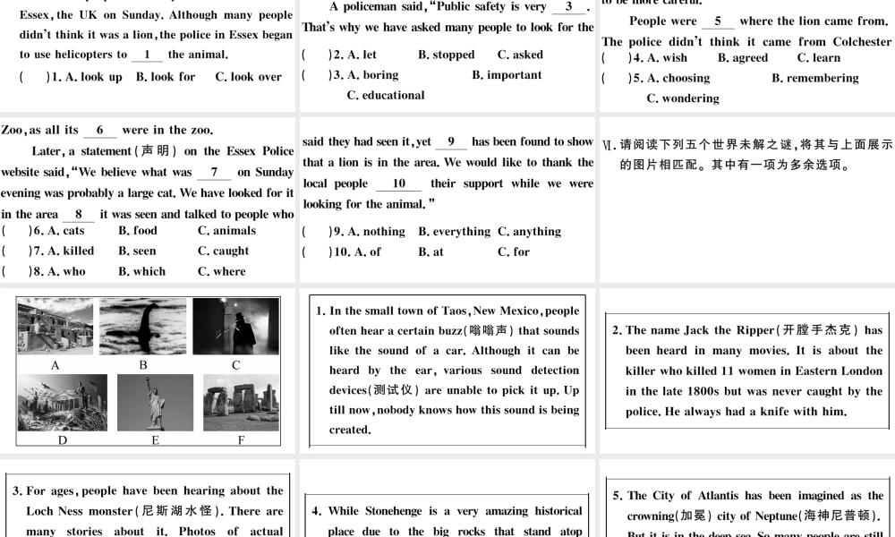 （山西专版）秋九年级英语全册 Unit 8 It must belong to Carla第二课时习题课件（新版）人教新目标版-（新版）人教新目标版初中九年级全册英语课件