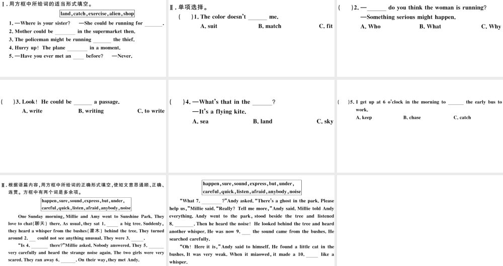 （山西专版）秋九年级英语全册 Unit 8 It must belong to Carla第三课时习题课件（新版）人教新目标版-（新版）人教新目标版初中九年级全册英语课件