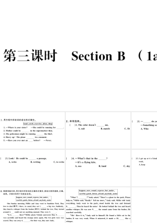 （山西专版）秋九年级英语全册 Unit 8 It must belong to Carla第三课时习题课件（新版）人教新目标版-（新版）人教新目标版初中九年级全册英语课件
