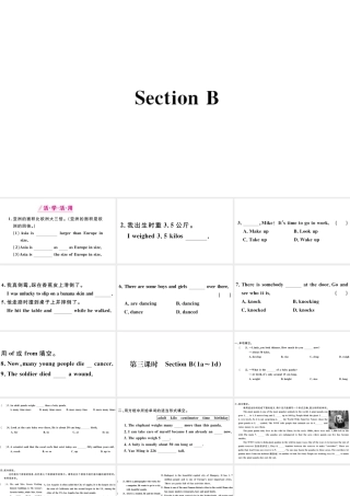 （广东专版）八年级英语下册 Unit 7 What’s the highest mountain in the world第三课时习题课件（新版）人教新目标版-（新版）人教新目标版初中八年级下册英语课件