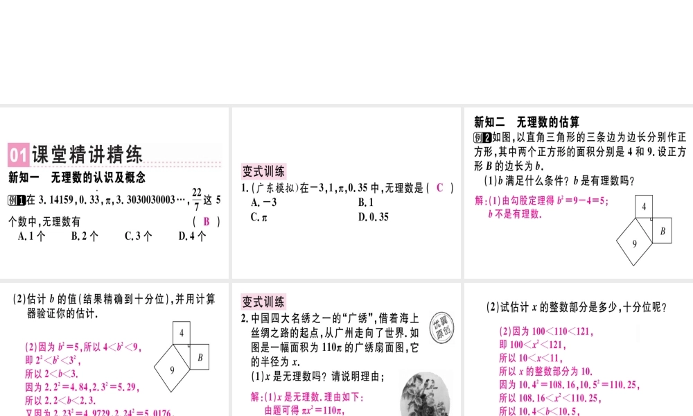（广东专版）秋八年级数学上册 第二章《实数》2.1 认识无理数习题讲评课件 （新版）北师大版-（新版）北师大版初中八年级上册数学课件