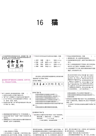 （山西专版）七年级语文上册 第五单元 16 猫课件 新人教版-新人教版初中七年级上册语文课件