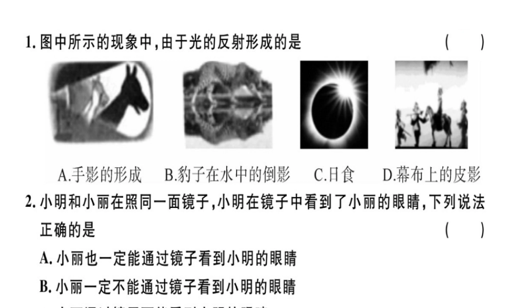 （广东专用）八年级物理上册 第四章 第2节 光的反射8分钟小练习课件 （新版）新人教版-（新版）新人教版初中八年级上册物理课件