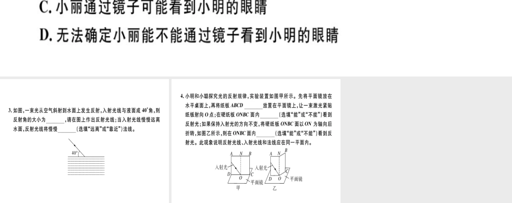 （广东专用）八年级物理上册 第四章 第2节 光的反射8分钟小练习课件 （新版）新人教版-（新版）新人教版初中八年级上册物理课件
