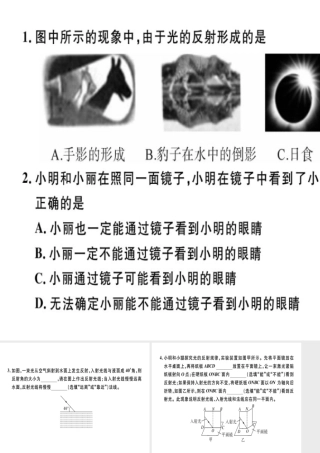 （广东专用）八年级物理上册 第四章 第2节 光的反射8分钟小练习课件 （新版）新人教版-（新版）新人教版初中八年级上册物理课件