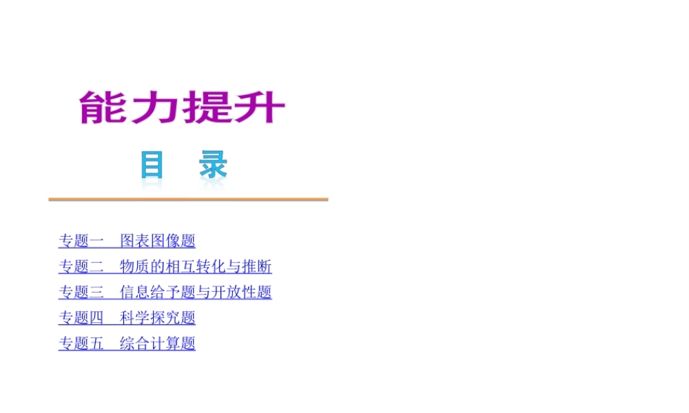 （广东专用）2013届中考化学复习方案 能力提升课件