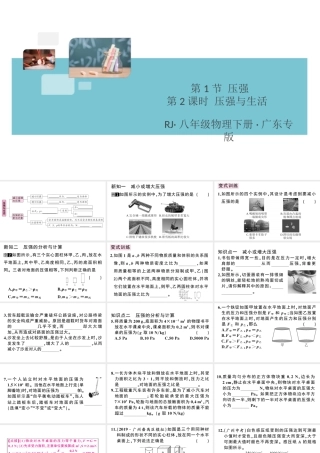 （广东专版）春八年级物理下册 第九章 压强 第1节 压强 第2课时 压强与生活同步练习课件 （新版）新人教版-（新版）新人教版初中八年级下册物理课件