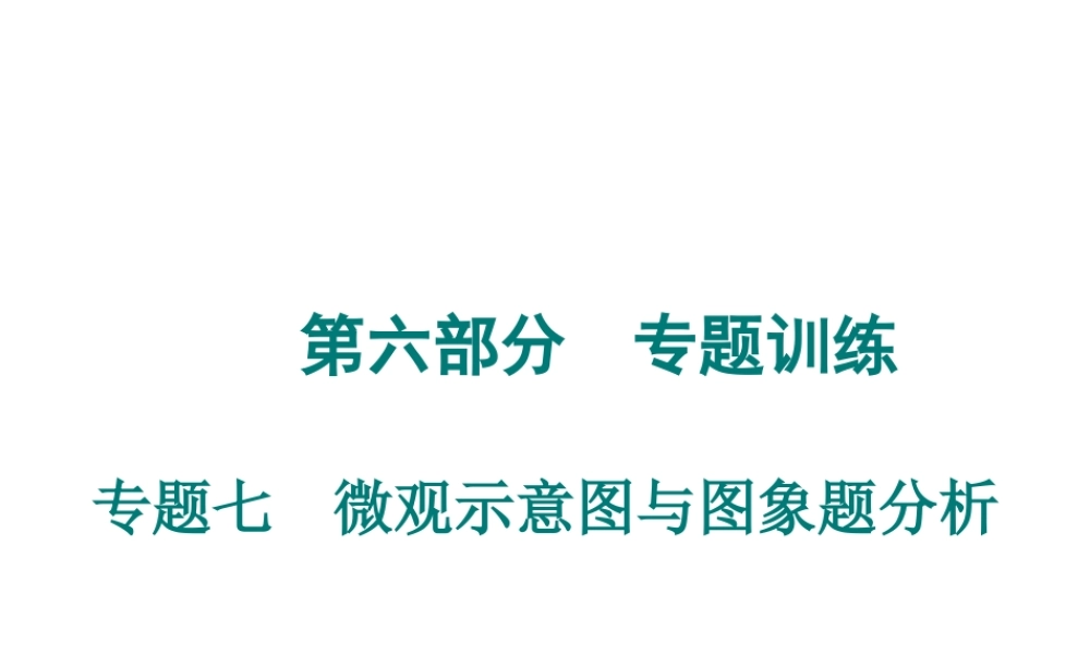 （广东专用）2015年中考化学参考复习 第六部分 专题七 微观示意图与图象题分析课件