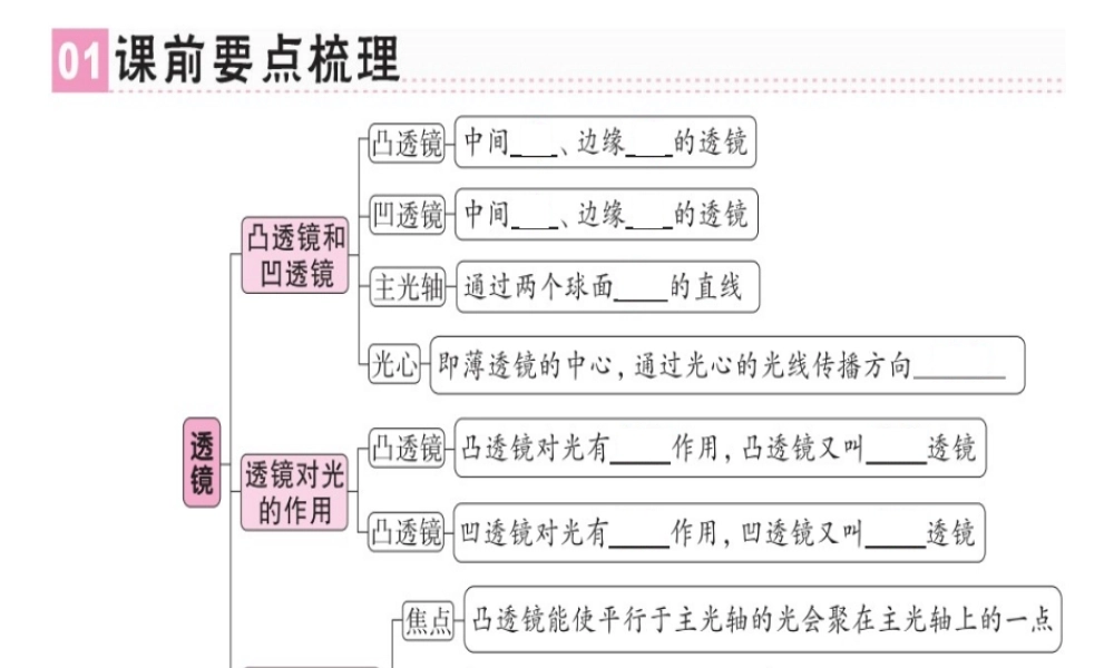 （广东专用）八年级物理上册 第五章 第1节 透镜习题课件 （新版）新人教版-（新版）新人教版初中八年级上册物理课件