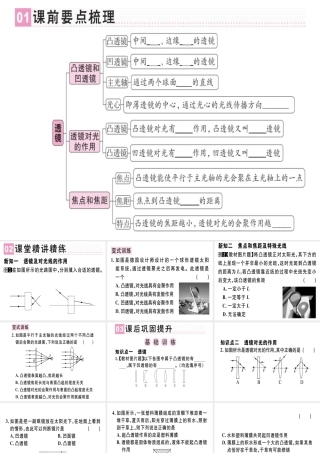 （广东专用）八年级物理上册 第五章 第1节 透镜习题课件 （新版）新人教版-（新版）新人教版初中八年级上册物理课件