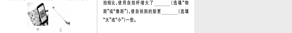 （广东专用）八年级物理上册 第五章 第2节 生活中的透镜习题课件 （新版）新人教版-（新版）新人教版初中八年级上册物理课件