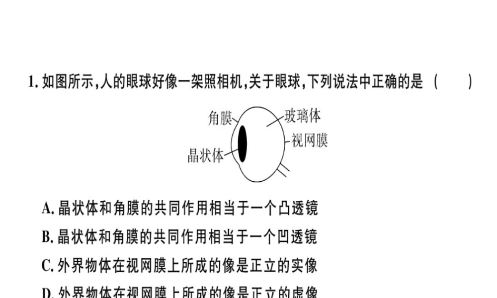 （广东专用）八年级物理上册 第五章 第4节 眼睛和眼镜8分钟小练习课件 （新版）新人教版-（新版）新人教版初中八年级上册物理课件