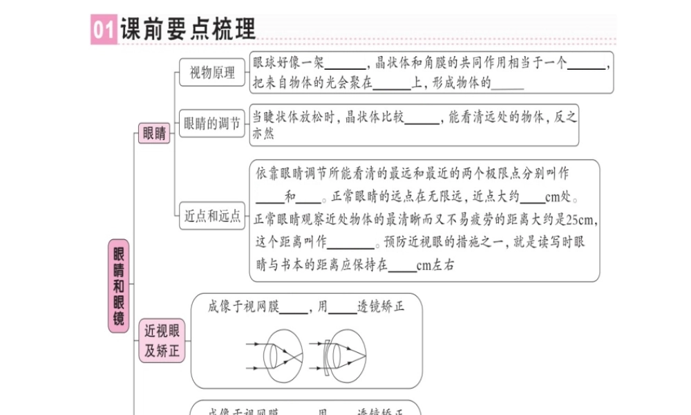 （广东专用）八年级物理上册 第五章 第4节 眼睛和眼镜习题课件 （新版）新人教版-（新版）新人教版初中八年级上册物理课件