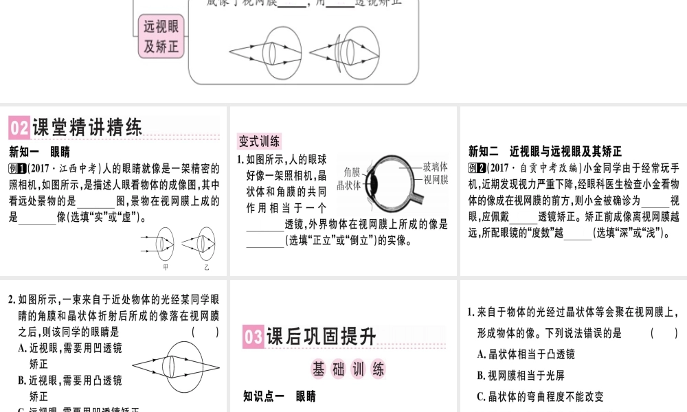 （广东专用）八年级物理上册 第五章 第4节 眼睛和眼镜习题课件 （新版）新人教版-（新版）新人教版初中八年级上册物理课件