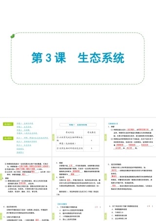 （小复习）浙江省2014年中考科学专题复习 第3课 生态系统课件