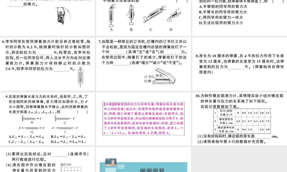 （广东专版）春八年级物理下册 第七章 力 第2节 弹力同步练习课件 （新版）新人教版-（新版）新人教版初中八年级下册物理课件