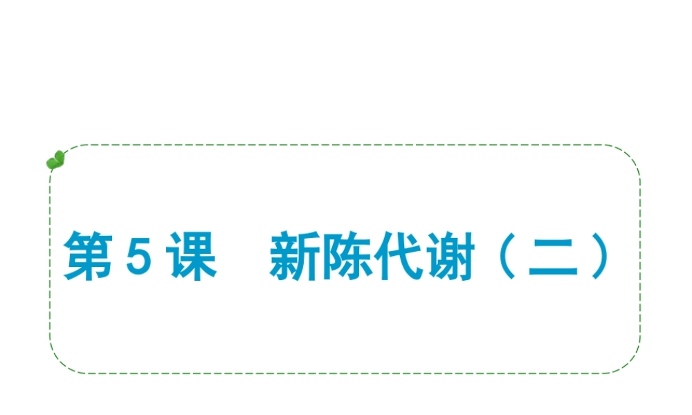 （小复习）浙江省2014年中考科学专题复习 第5课 新陈代谢二课件