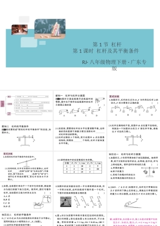 （广东专版）春八年级物理下册 第十二章 简单机械 第1节 杠杆 第1课时 杠杆及其平衡条件同步练习课件 （新版）新人教版-（新版）新人教版初中八年级下册物理课件