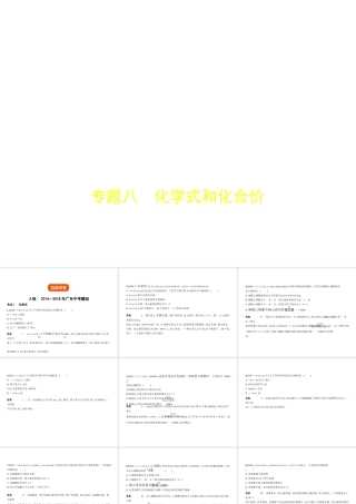 （广东专用）中考化学复习 专题八 化学式和化合价（试卷部分）课件-人教版初中九年级全册化学课件