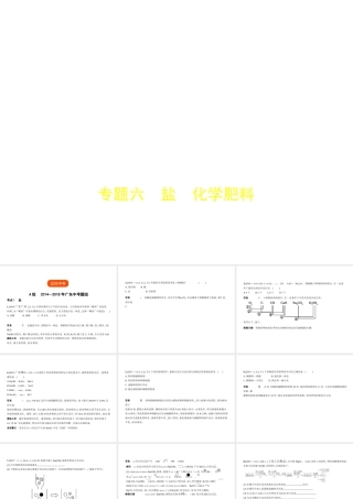 （广东专用）中考化学复习 专题六 盐 化学肥料（试卷部分）课件-人教版初中九年级全册化学课件