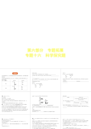 （广东专用）中考化学复习 专题十六 科学探究题（试卷部分）课件-人教版初中九年级全册化学课件