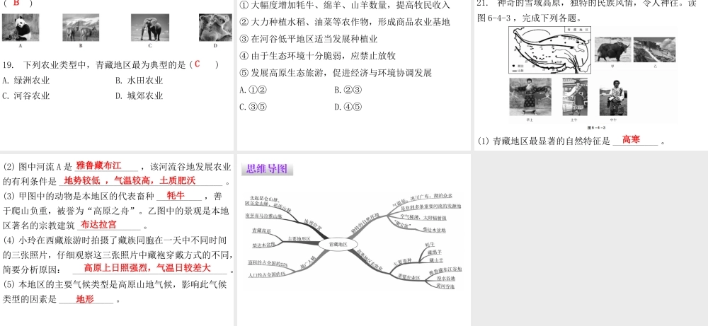 （广东专版）八年级地理下册 第六章 第四节 青藏地区课件 （新版）粤教版-（新版）粤教版初中八年级下册地理课件