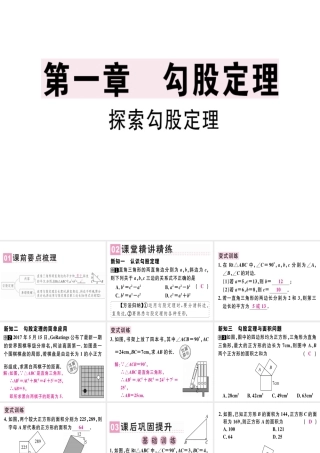（广东专版）秋八年级数学上册 第一章《勾股定理》1.1 探索勾股定理（1）习题讲评课件 （新版）北师大版-（新版）北师大版初中八年级上册数学课件