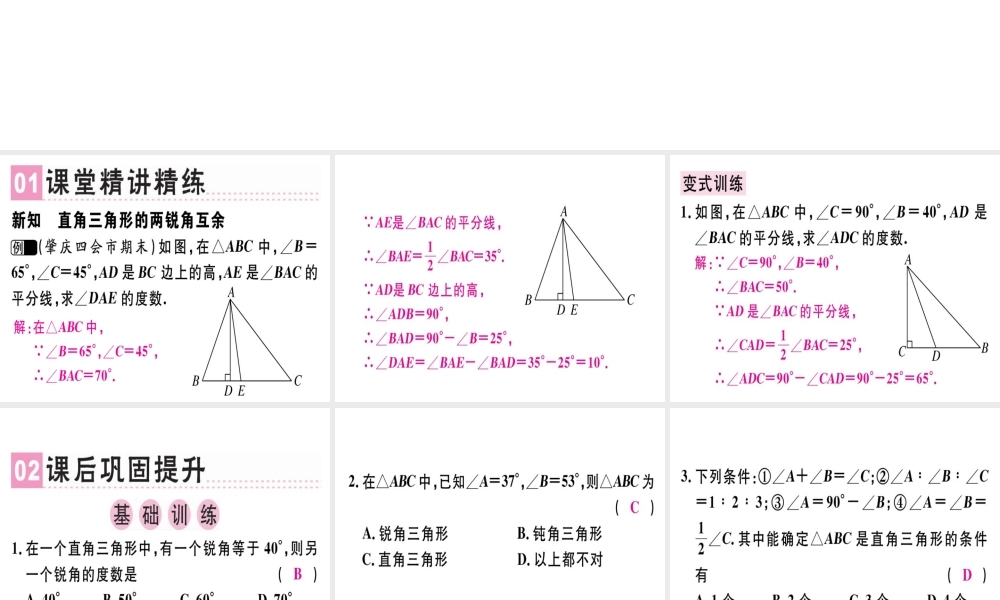 （广东专用）秋八年级数学上册 第十一章《三角形》11.2 与三角形有关的角 11.2.1 三角形的内角（2）课件 （新版）新人教版-（新版）新人教版初中八年级上册数学课件