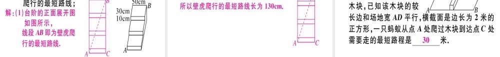 （广东专版）秋八年级数学上册 第一章《勾股定理》1.3 勾股定理的应用习题讲评课件 （新版）北师大版-（新版）北师大版初中八年级上册数学课件