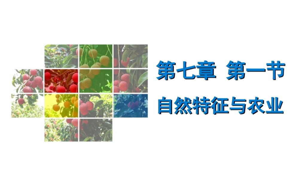 （广东专版）八年级地理下册 第七章 第一节 自然特征与农业导学练课件 （新版）新人教版-（新版）新人教版初中八年级下册地理课件