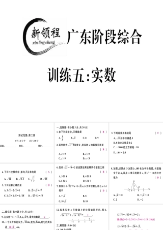 （广东专版）秋八年级数学上册 阶段综合训练五 实数习题讲评课件 （新版）北师大版-（新版）北师大版初中八年级上册数学课件