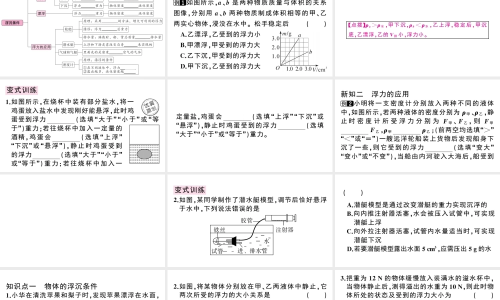 （广东专版）春八年级物理下册 第十章 浮力 第3节 物体的浮沉条件及应用同步练习课件 （新版）新人教版-（新版）新人教版初中八年级下册物理课件