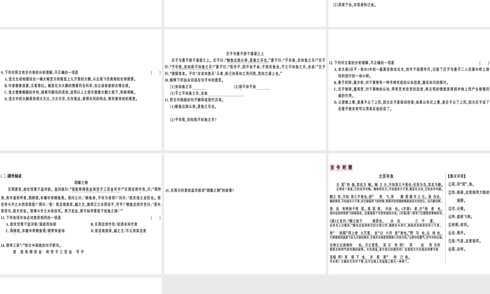 （广东专版）春八年级语文下册 第六单元 21《庄子》二则习题课件 新人教版-新人教版初中八年级下册语文课件